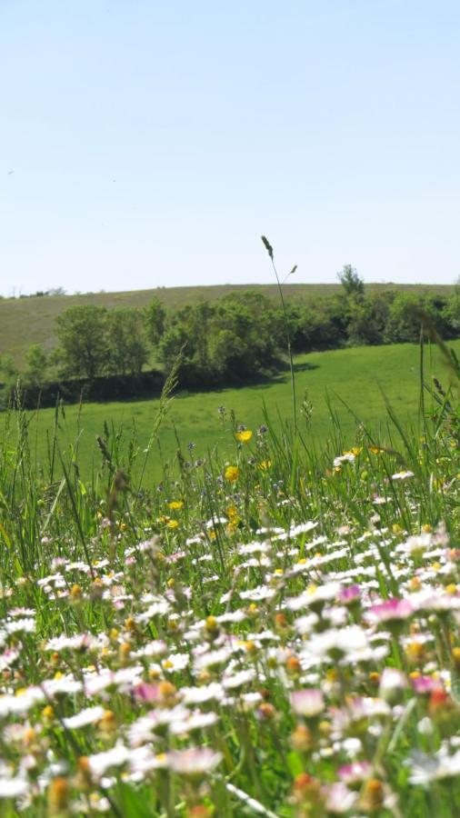 Nature'S Pace Holidays Montmaur  Zewnętrze zdjęcie