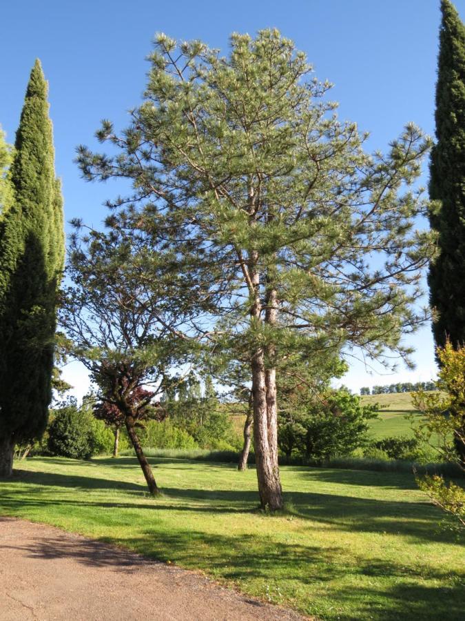 Nature'S Pace Holidays Montmaur  Zewnętrze zdjęcie