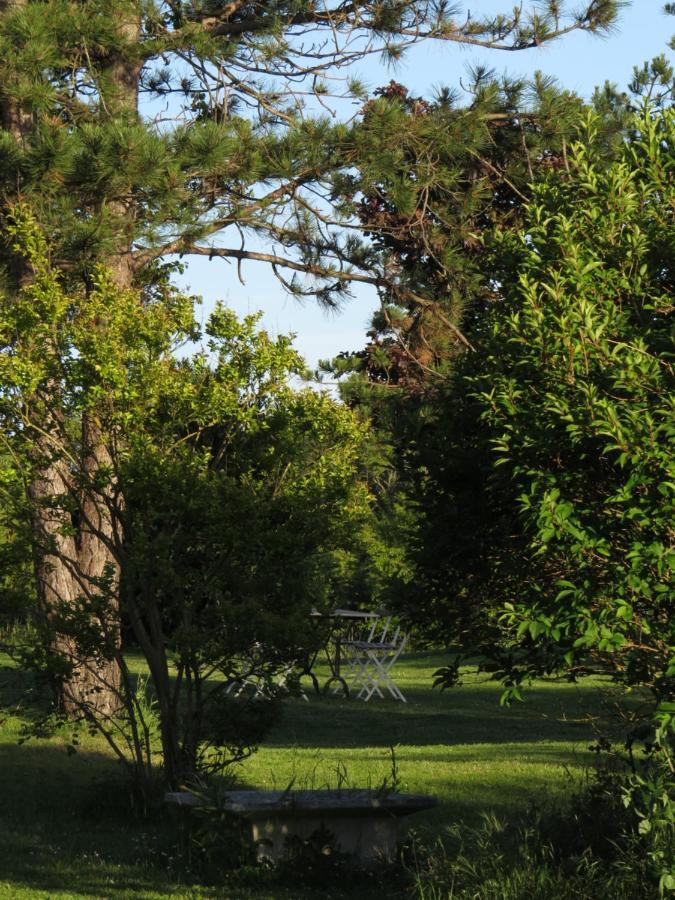 Nature'S Pace Holidays Montmaur  Zewnętrze zdjęcie
